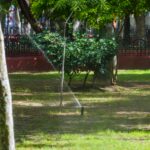 Parque Alameda ya es regado con agua tratada, ahorra 1,500 m3 de agua potable